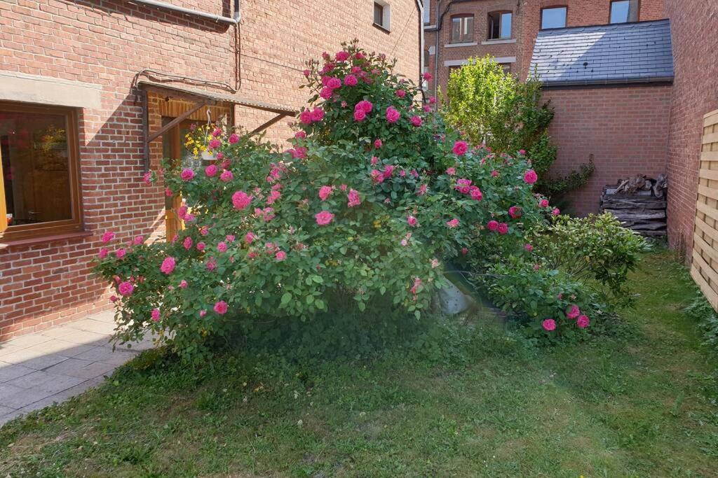 Apartmán Le Bord De Meuse Dinant Exteriér fotografie